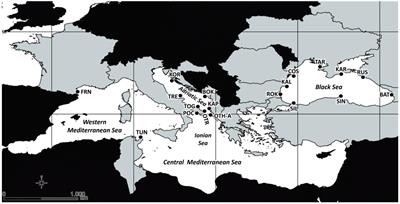 A Genome-Wide Approach to the Phylogeography of the Mussel Mytilus galloprovincialis in the Adriatic and the Black Seas